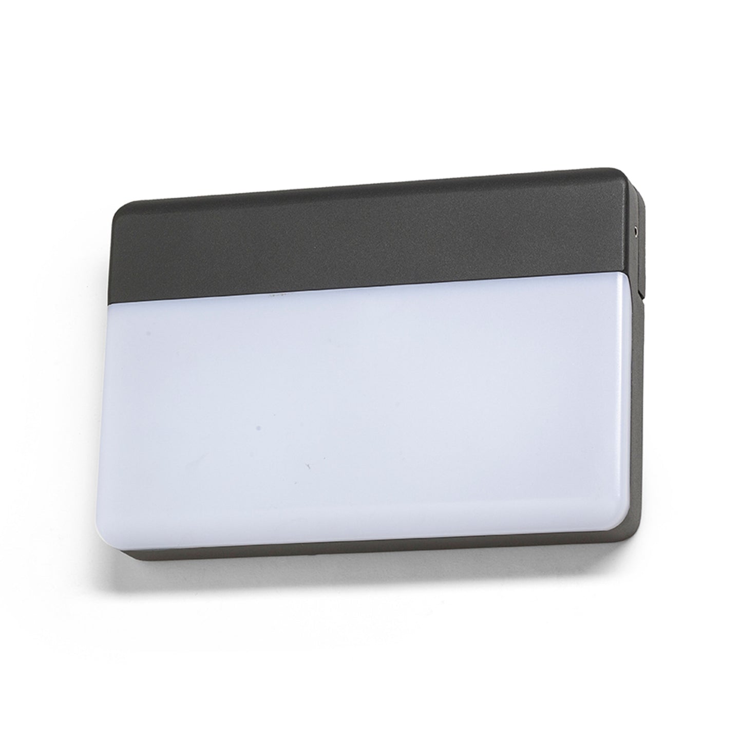 RENDL outdoor lamp GAVIN wall anthracite grey frosted acrylic 230V LED 13W IP65 3000K R13756 1