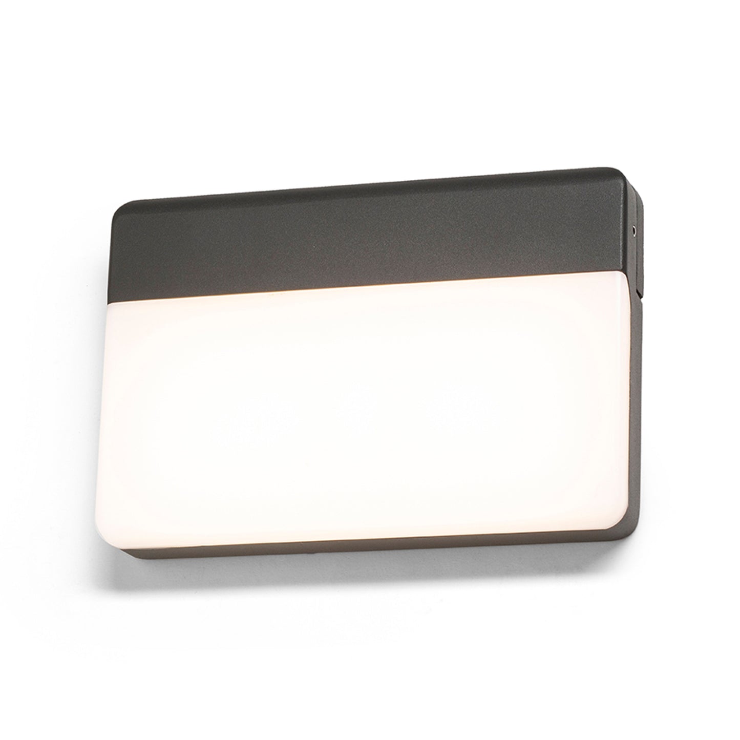 RENDL outdoor lamp GAVIN wall anthracite grey frosted acrylic 230V LED 13W IP65 3000K R13756 2