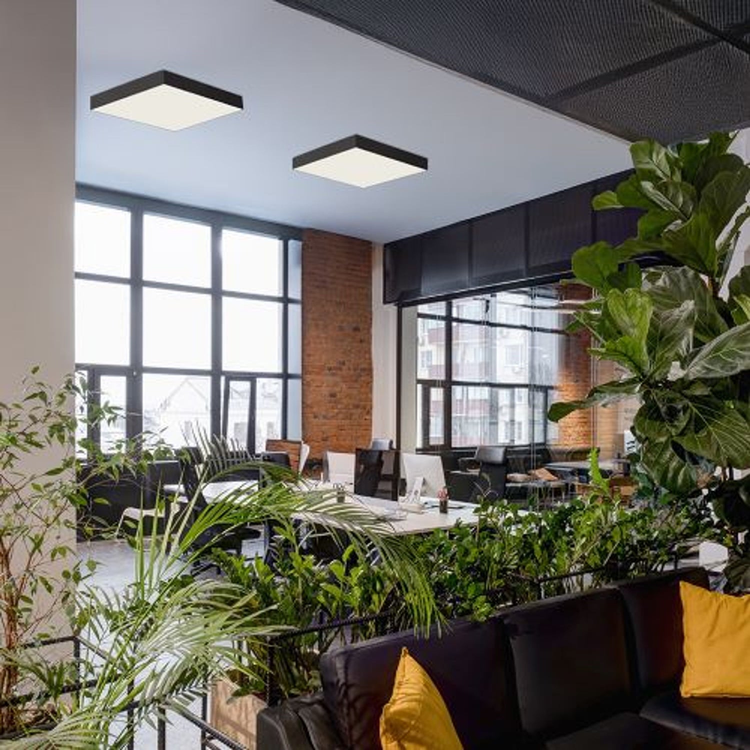 Stropní světla do obývacího pokoje