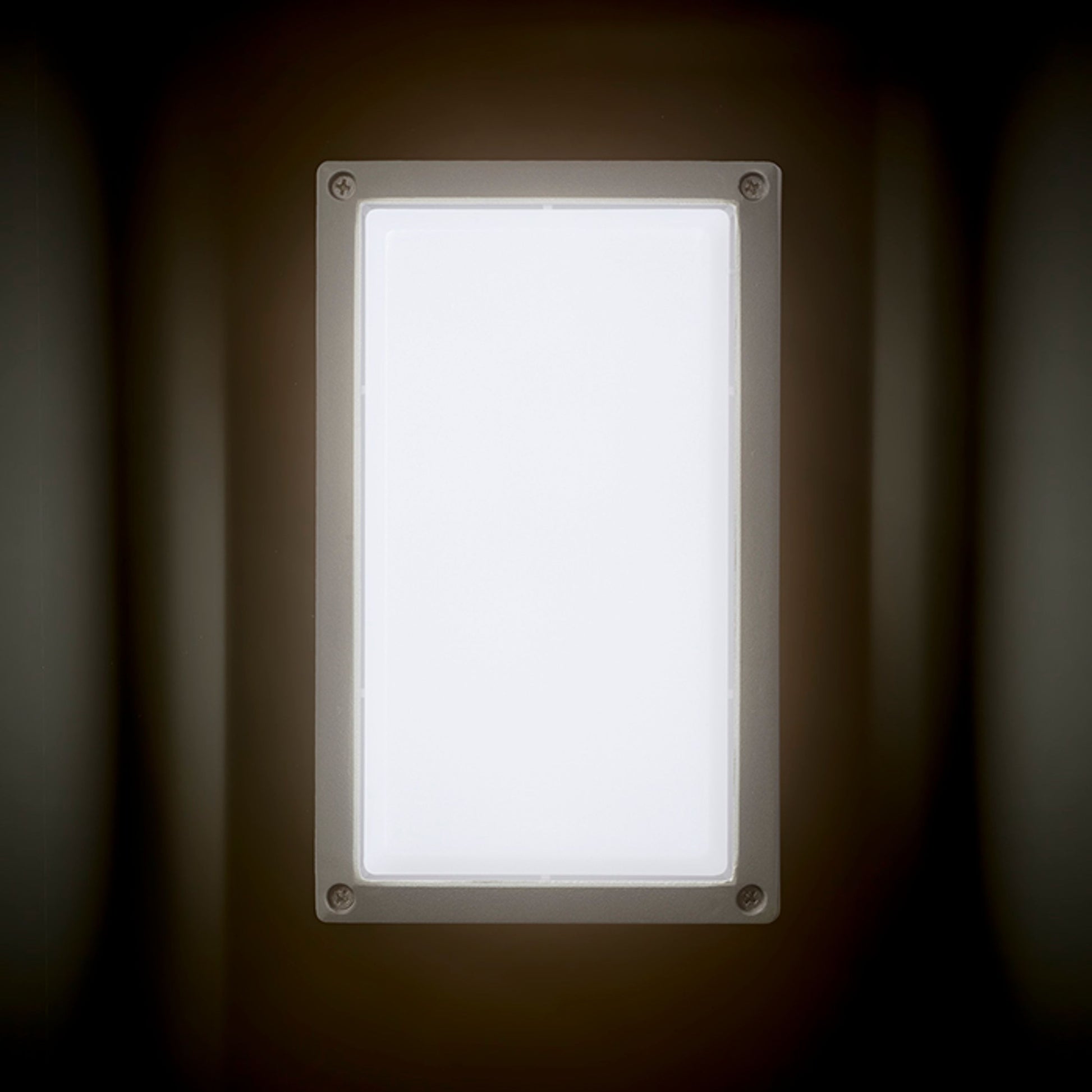 RENDL outdoor lamp ASPEN surface mounted silver grey  230V LED 5W IP54  3000K R12011 5