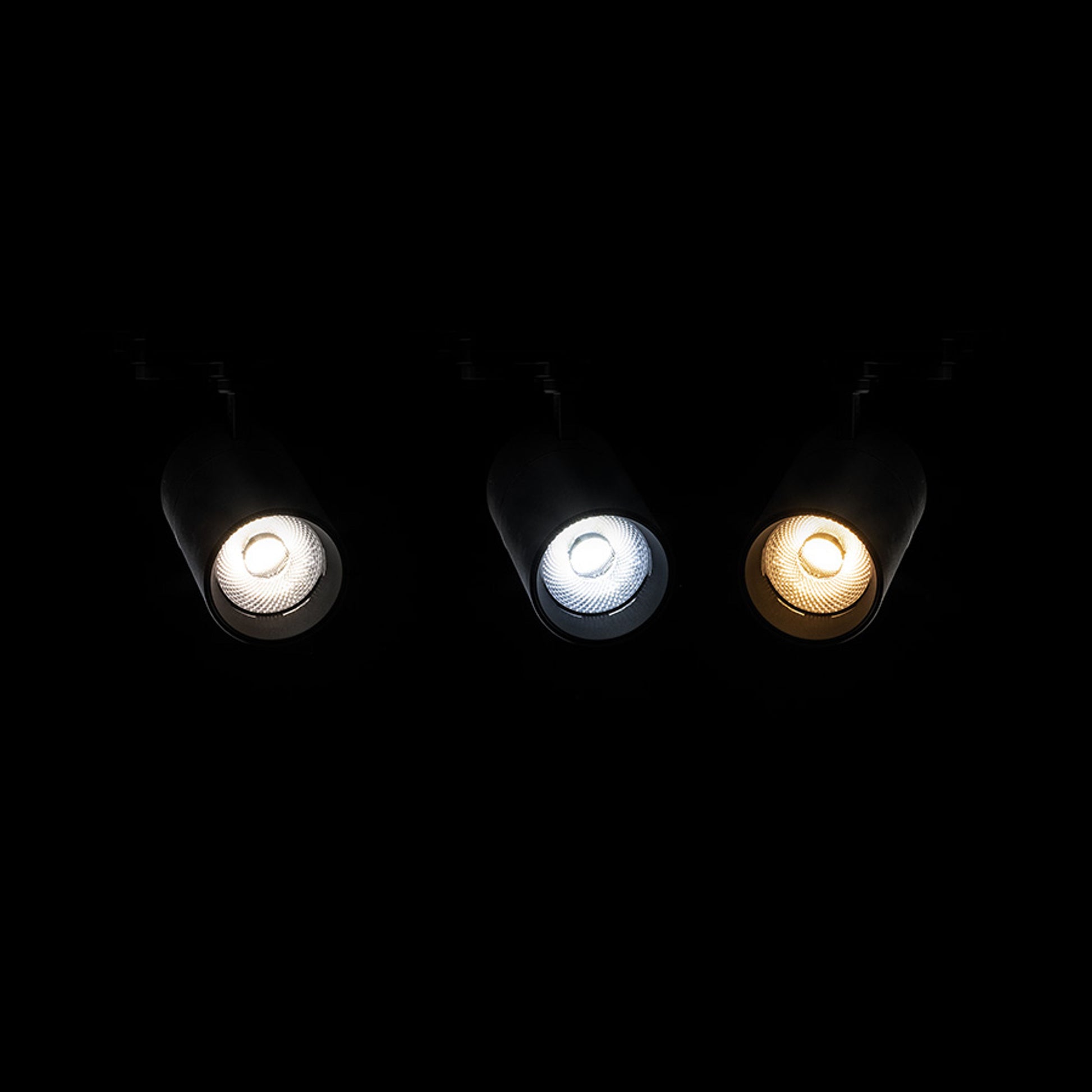 RENDL 1-circuit track system WISH 20 DIMM for 1-circuit tracks black  230V LED 20W 36°  3000K 4000K 5000K R13770 5